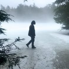 steelebloo's profile picture. 🌱rock lover - indie and geo. lifelong-learning. ny babyy