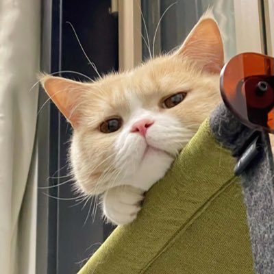 liuyu66649310's profile picture. 