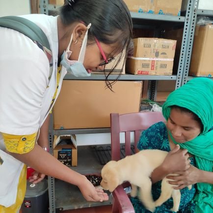Veterinary assistant surgeon, Mandosil, Bargarh
https://t.co/clxlKZUK7b: Veterinary epidemiology and preventive medicine
