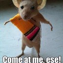 luis becerril - @becerrilluis - Twitter