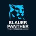 Blauer Panther TV- & Streaming Award (@PantherAward) Twitter profile photo