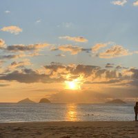 Um dia de cada vez (@tniapaim3) 's Twitter Profile