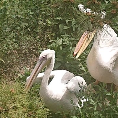 croissant0718's profile picture. @bagel0718の自重しない方。主に男性向けとか、人を選びそうな話。
当然の如くR-18