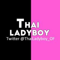 🎀 Thai Ladyboy 8.2K 🎀(@ThaiLadyboy_OF) 's Twitter Profile Photo