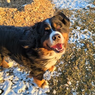 pamz_space's profile picture. Entrepreneur and animal lover.   🖤🤍🤎