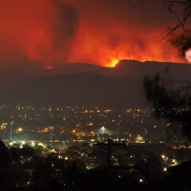 Climate action, rewilding, regenerative culture...