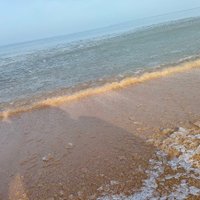 liuzhl (@liuzhl1) Twitter profile photo