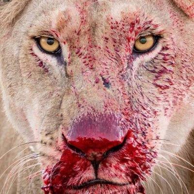ent_icer's profile picture. 