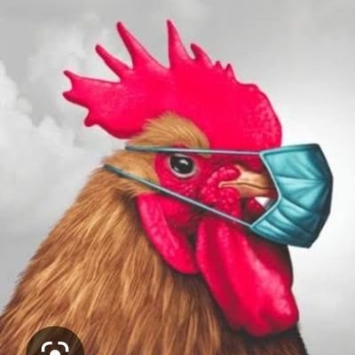 erick10181431's profile picture. 