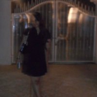 Hestia (@hestianeversaid) 's Twitter Profile Photo