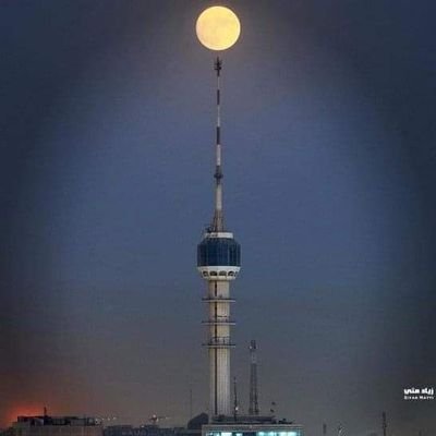 ahmd71125114's profile image
