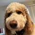 ryan (@ryaankg) Twitter profile photo ryan (@ryaankg) Twitter profile photo