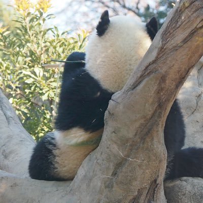 sjm_syr's profile picture. 広く浅く推し活を楽しんでます🍀*゜