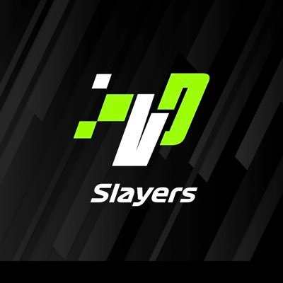 F1Slayers Profile Picture