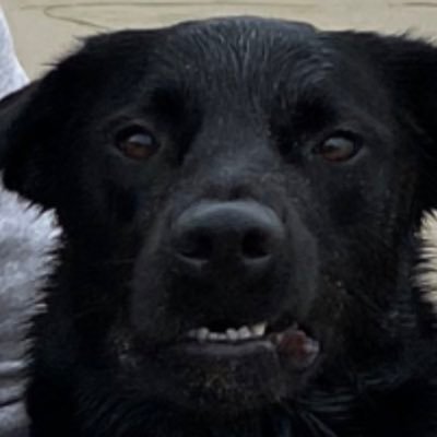 sharperimage777's profile picture. sports betting, recruiting, and fantasy football