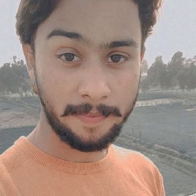 Haseeb68656121's profile picture. 🌷