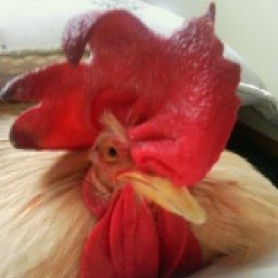 sootark99's profile picture. 