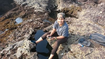 Ocean, biodiversity, marine conservation, syngnathids, knowledge seeker, and  researcher