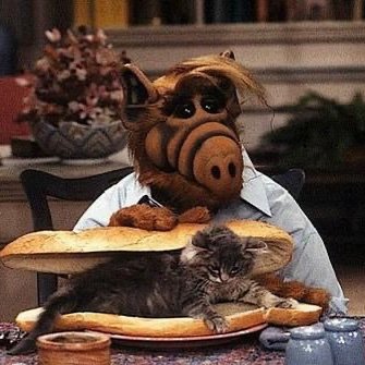 My friends call me Alf. You may call me Mr. Shumway