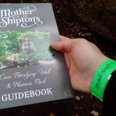 meya_heart's profile picture. Feminist Academic