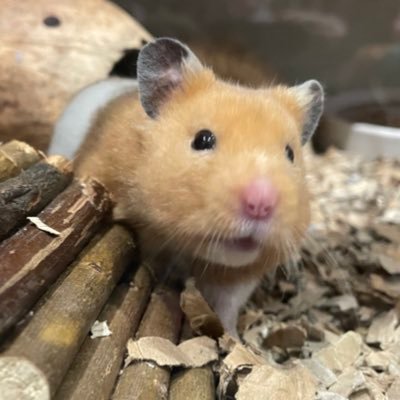 VonJames80's profile picture. 