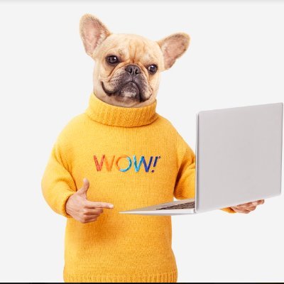 WowFiber's profile picture. You're in great hands.