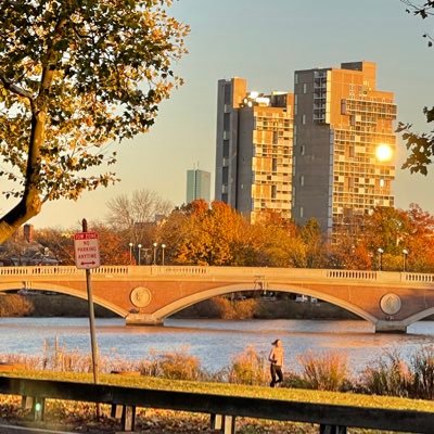 GiladNEU's profile picture. 