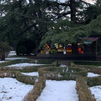 أنـت صـح❗ (@almomizq8) 's Twitter Profile Photo