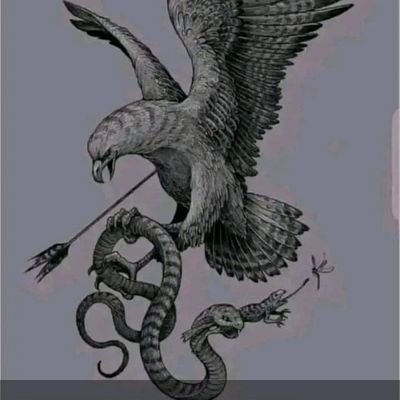 unique_k6's profile picture. 