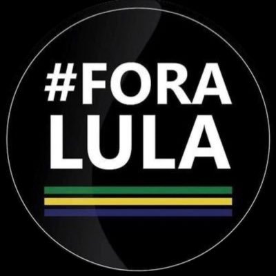 Conservadora e guerreira!                       Conta comigo presidente!!!☝️🇧🇷