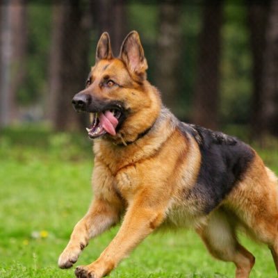 sonrisitas1991's profile picture. 