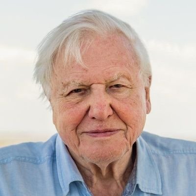 Make a difference for wildlife and for our environment! Do it for David Attenborough and for all of us! Just like you, we are fans of the great man.