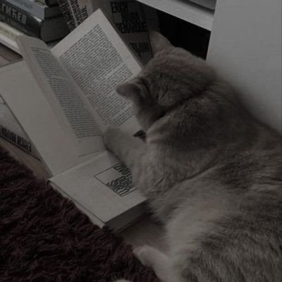 Webmax___'s profile picture. 