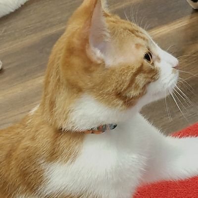 はるさんのプロフィール画像