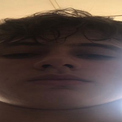 traapote's profile picture. 