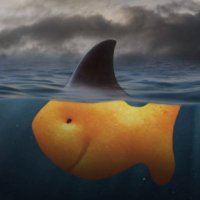 Bigphish (@bigphish_edits) 's Twitter Profile