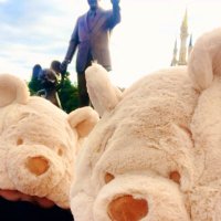 Ｄぃ子 (@gannbaru_watasi) Twitter profile photo