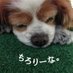 はるち💜 💛 💙 ❤️24💚 (@chirore_na) Twitter profile photo はるち💜 💛 💙 ❤️24💚 (@chirore_na) Twitter profile photo