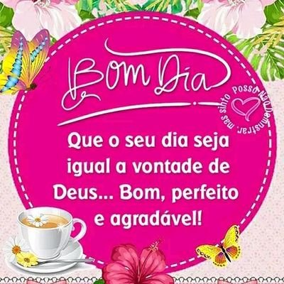 Cristã, direita conservadora, anti-petista e anti-mimizentos 🇧🇷