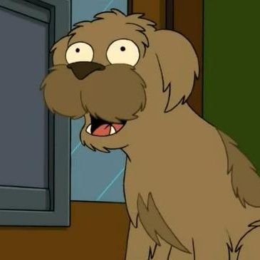 perro_fry's profile picture. 