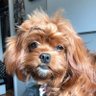 SasquatchTrade_'s profile picture. Hodl your Time & #Bitcoin
Trade everything else