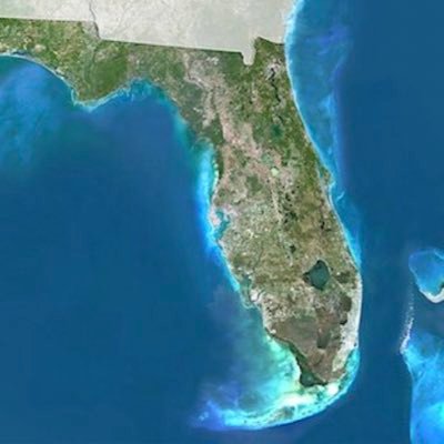 We buy and sell land in North Florida! #FL #Land #BuyLand #SellLand #WeBuyLand #WeSellLand #Suwannee #FloridaLand #NorthFL #FLLand