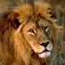 Davide Grassi (@davideg65202593) Twitter profile photo Davide Grassi (@davideg65202593) Twitter profile photo
