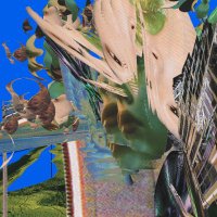 Jess Pemberton (@forestoftheweb) 's Twitter Profile