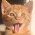 Konrad (@konradnie_) Twitter profile photo Konrad (@konradnie_) Twitter profile photo