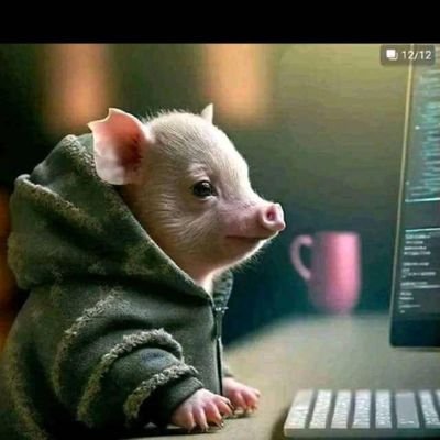 Dimaris_Gomez's profile picture. 