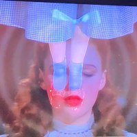 liz (@d71258) 's Twitter Profile