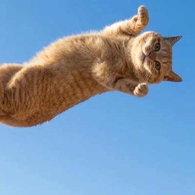 lwm3047hot's profile picture. 