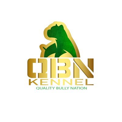 QBN Kennel (Quality Bully Nation) is a family owned and Operated American Bully Kennel out of Cleveland, TX