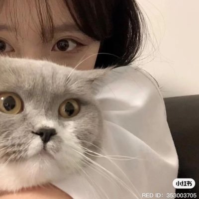 ___kkkm97's profile picture. #春から理科大 be